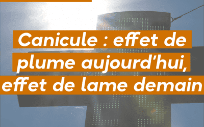 Canicule : effet de plume aujourd’hui, effet de lame demain