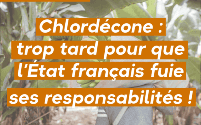 Chlordécone : trop tard pour que l’État français fuie ses responsabilités !