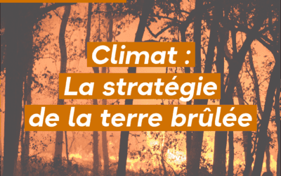 La stratégie de la terre brûlée