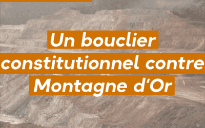 Un bouclier constitutionnel contre Montagne d’or