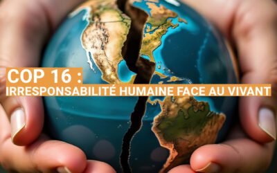 COP 16 : irresponsabilité humaine face au vivant