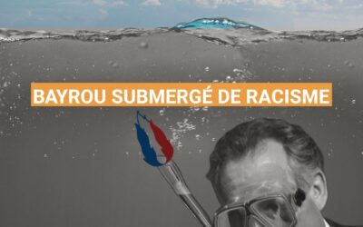 Bayrou submergé de racisme