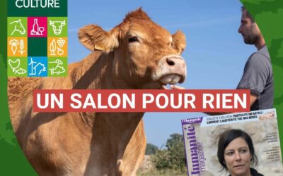 Un salon pour rien